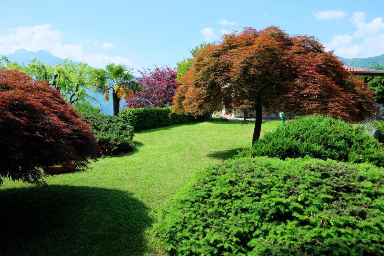 Villa Ornella Mandello del Lario Eksteriør billede